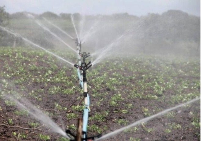 ASAJA informa sobre la publicación de la orden de los módulos agrarios para la renta del próximo año