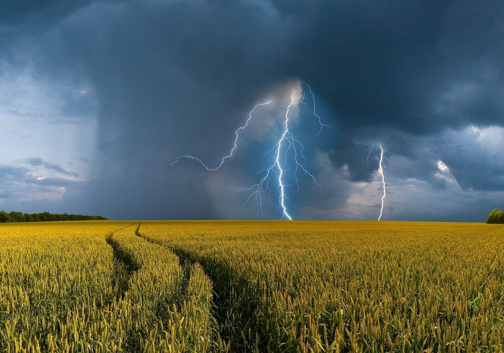 La Junta aumenta un 61% las ayudas al seguro agrario, que alcanzarán los 12,4M€ en 2023