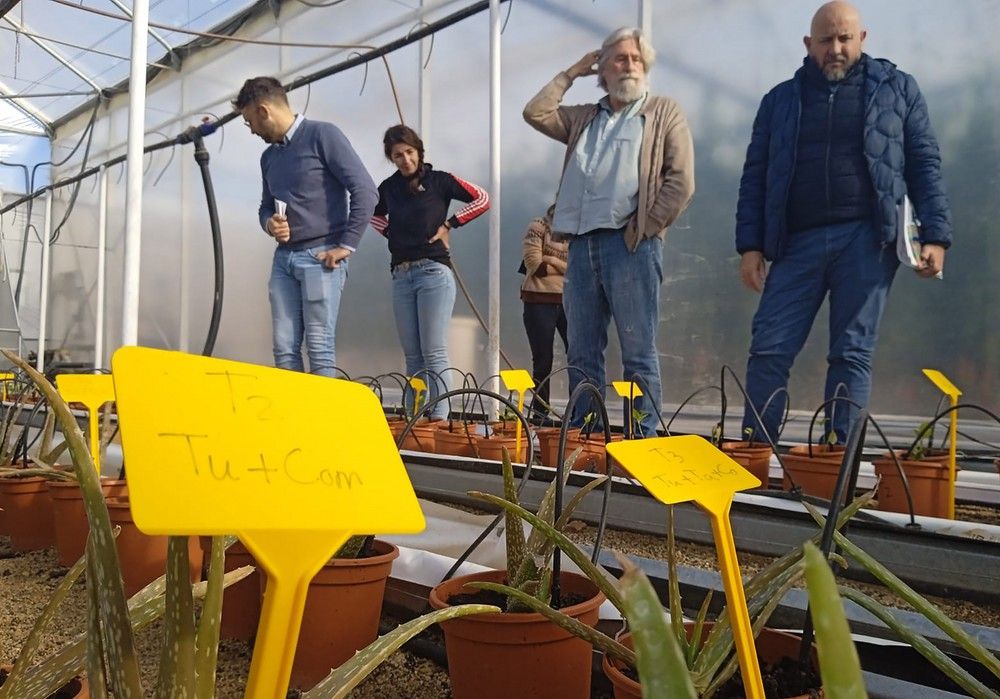 La Comisión de Técnicos de COEXPHAL analiza los temas de actualidad del sector ornamental