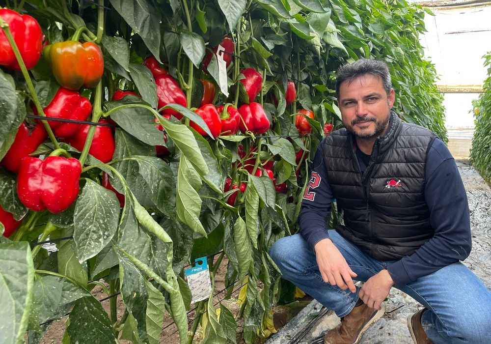 Ramiro Arnedo muestra sus California de gran calidad en el Poniente almeriense