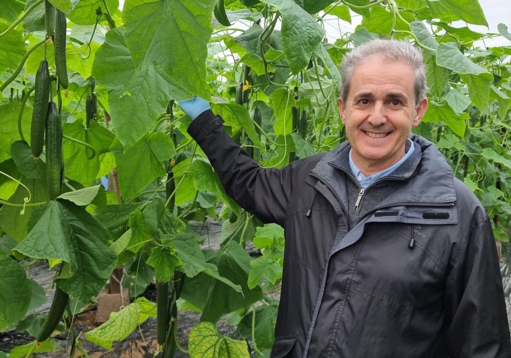 Tanker y Naval, los pepinos de Nunhems para pasar con éxito la campaña de otoño-invierno