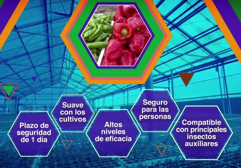 Prolectus®: El mejor fungicida para el control de botritis en cultivos hortícolas