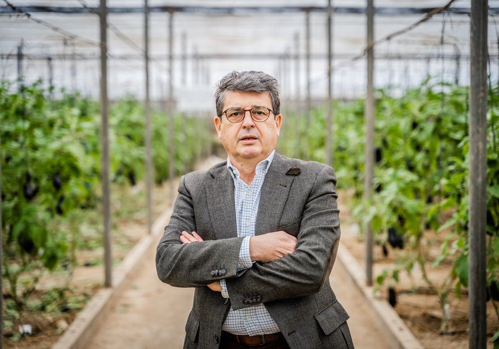 El PP exige al Gobierno que retire la campaña de la Asociación Justicia Alimentaria y recupere la subvención concedida