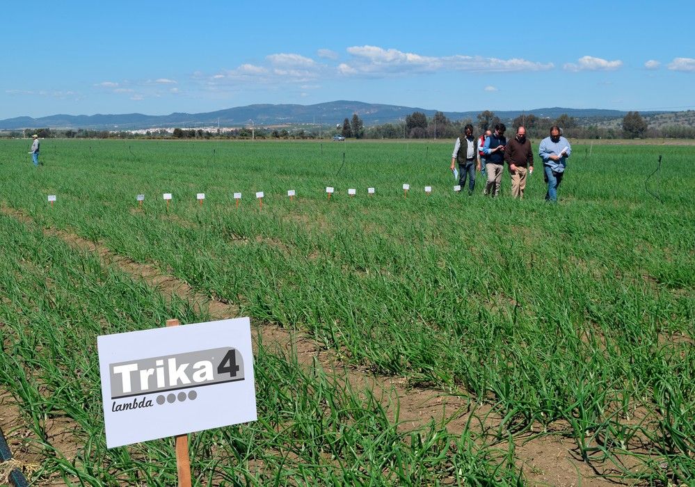 SIPCAM Iberia inaugura 2023 con el estreno de dos nuevos insecticidas