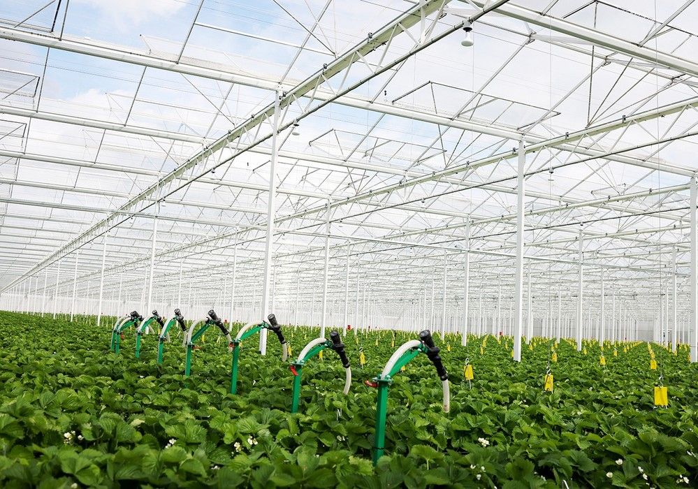 El dispensador automatizado de insectos beneficiosos Entomatic™ ahorra dinero y ayuda a optimizar el control