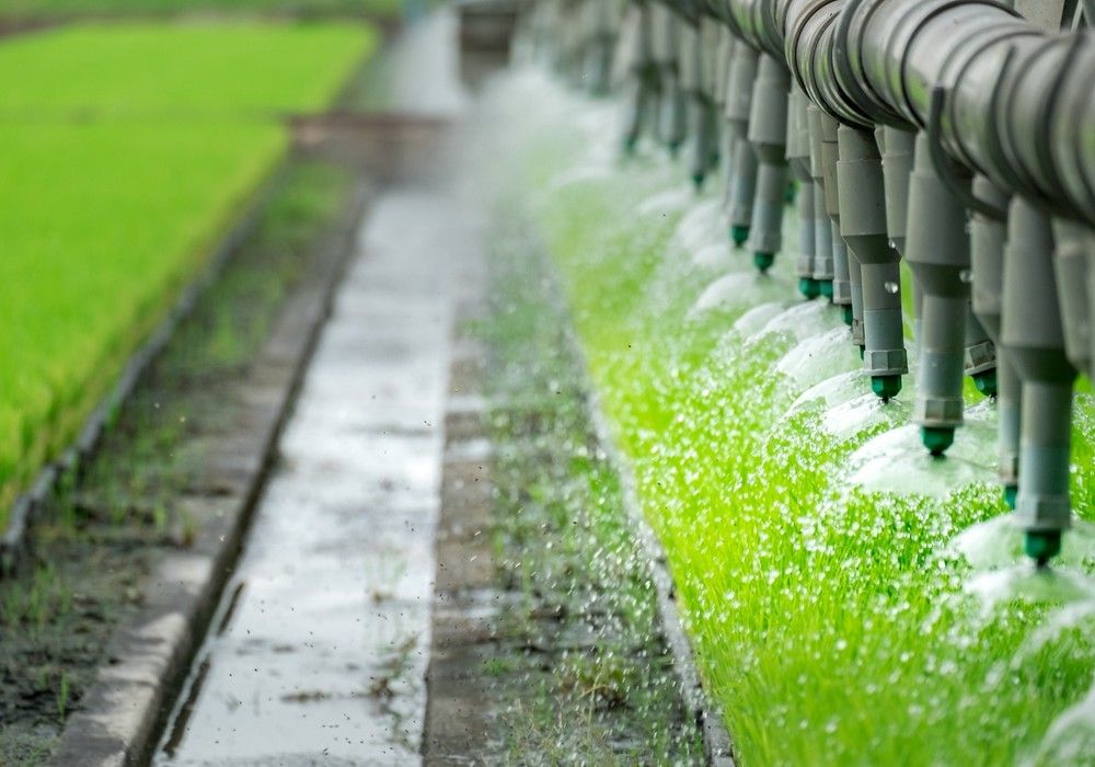 Agricultura convoca 18 M€ en ayudas a Grupos Operativos de Innovación agroalimentaria
