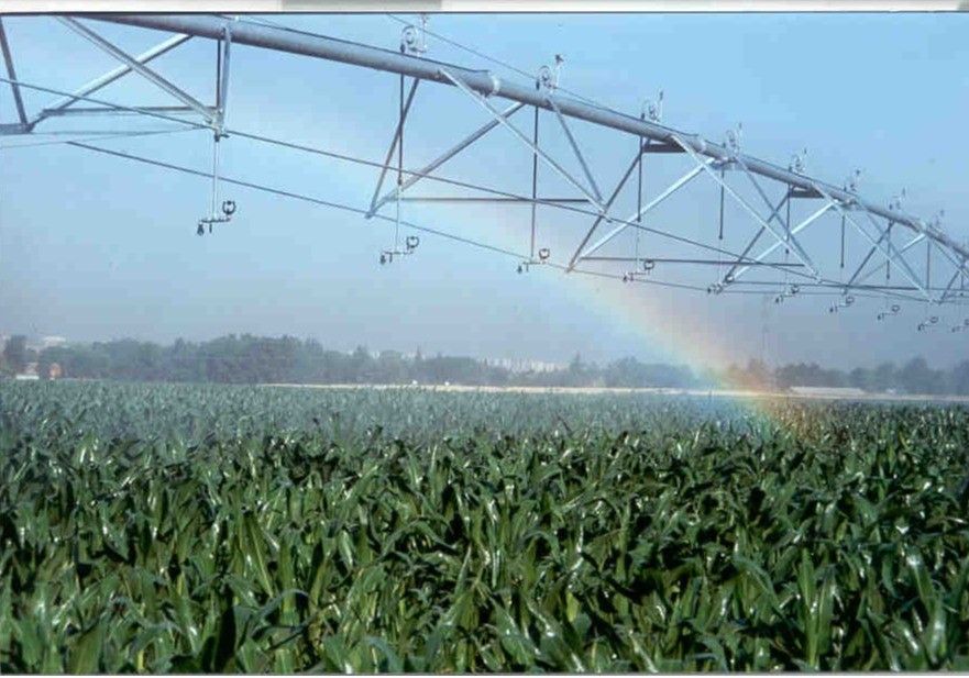 El Ministerio de Agricultura, Pesca y Alimentación destina 24 millones de euros a la modernización de los regadíos de Aguas del Almanzora
