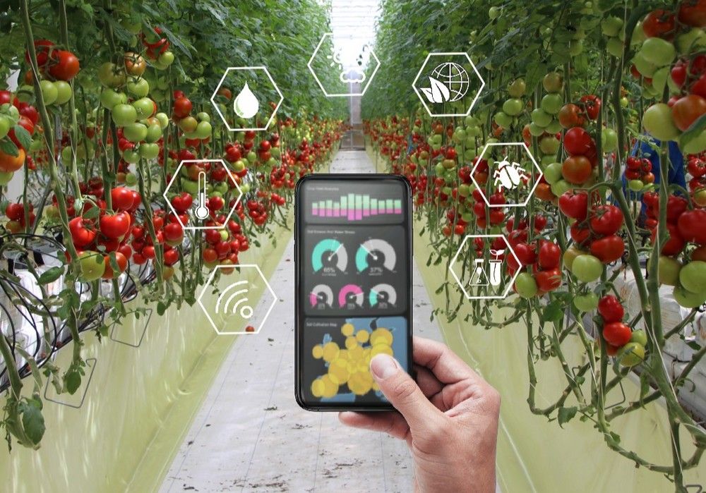 EFA Campomar y Tecnova unen conocimiento y experiencia para un nuevo Curso Especialista: Grower para cultivos de alto rendimiento