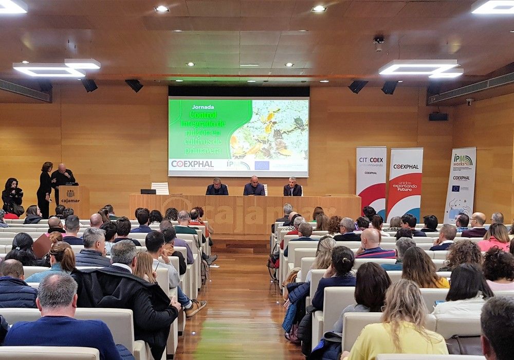 La anticipación con control biológico por conservación es fundamental para frenar al pulgón