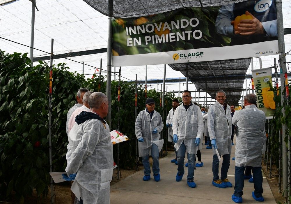 HM.CLAUSE sortea un ‘sueldo agrícola’ por la compra de semillas de sus pimientos