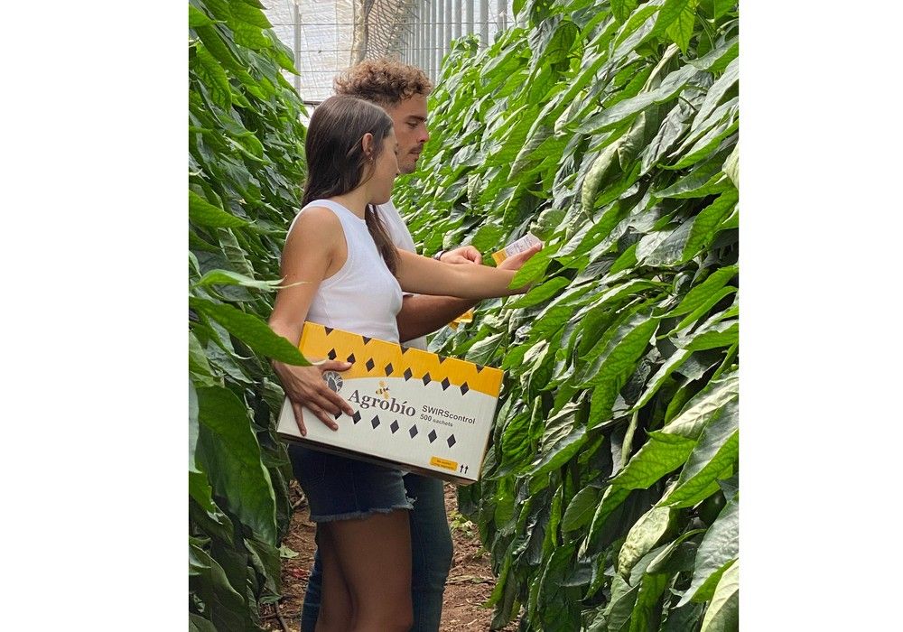 Agrobío innova para garantizar estrategias eficaces en control biológico, calidad y fiabilidad