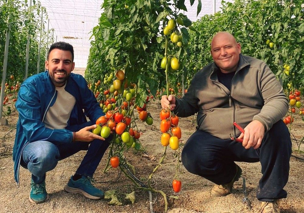 Top Seeds presenta su catálogo mundial de tomate