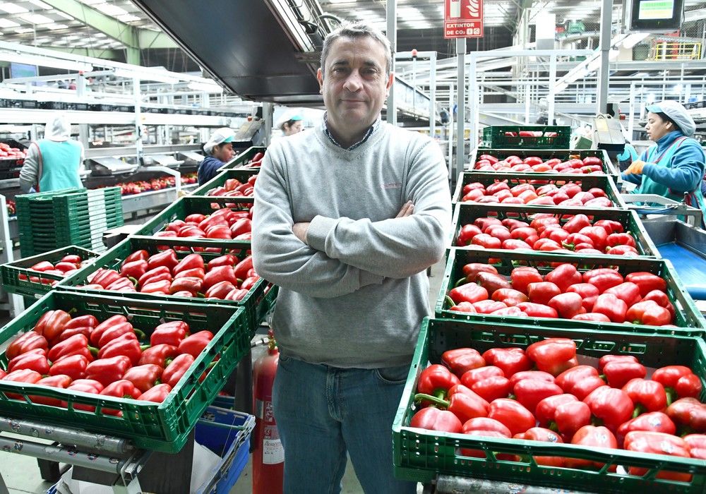 Agroiris, el catálogo hortofrutícola más completo para mercados exigentes