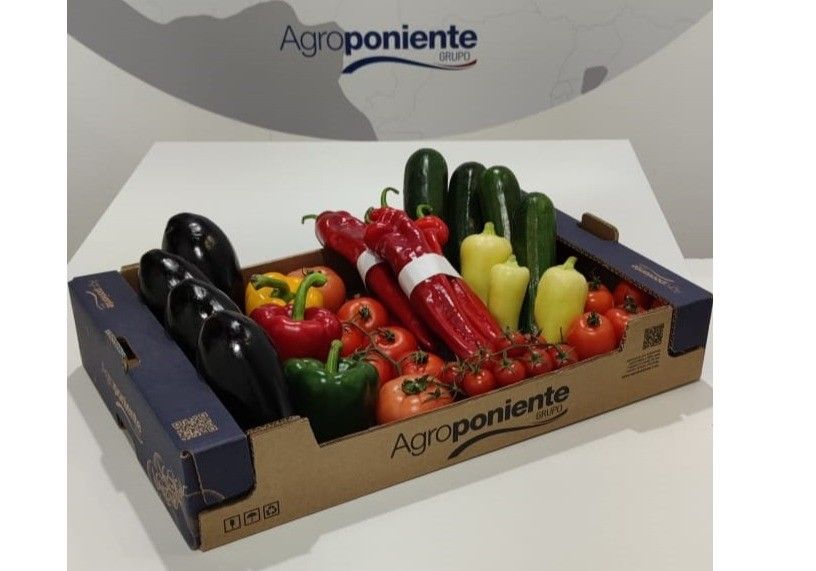 Agroponiente lleva hasta los envases su filosofía de sostenibilidad total: el 100% son reciclables y sostenibles y el 17% compostables