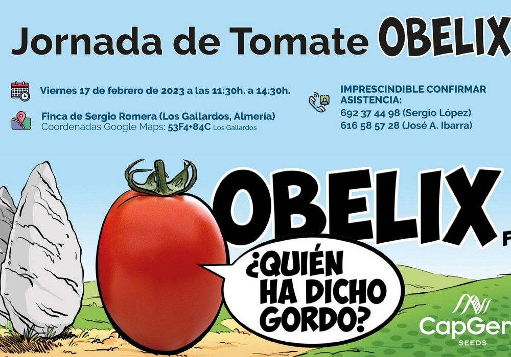 Jornadas de Puertas abiertas del tomate Obelix de CapGen Seeds en Los Gallardos