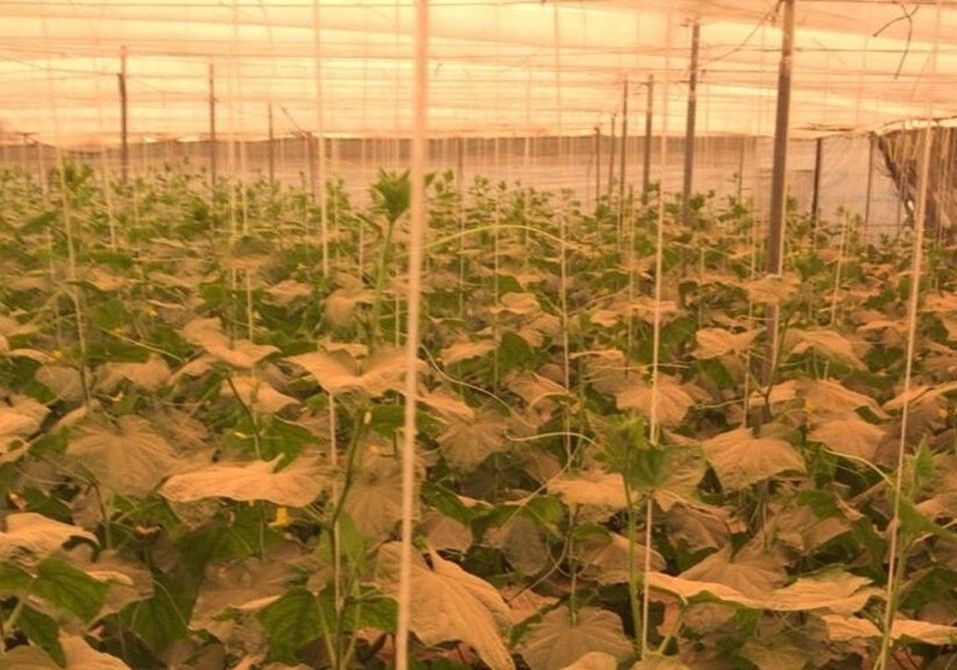 ASAJA pide a Hacienda una rebaja fiscal para el sector agrario