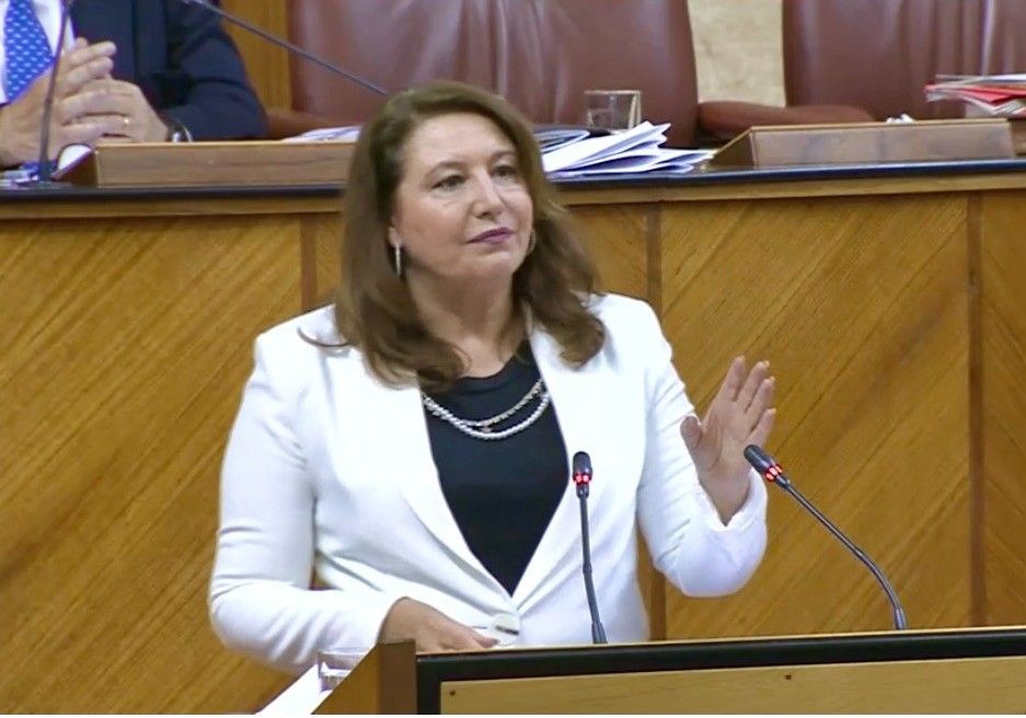 Carmen Crespo aboga por una flexibilización por parte del Gobierno de España del Pepac