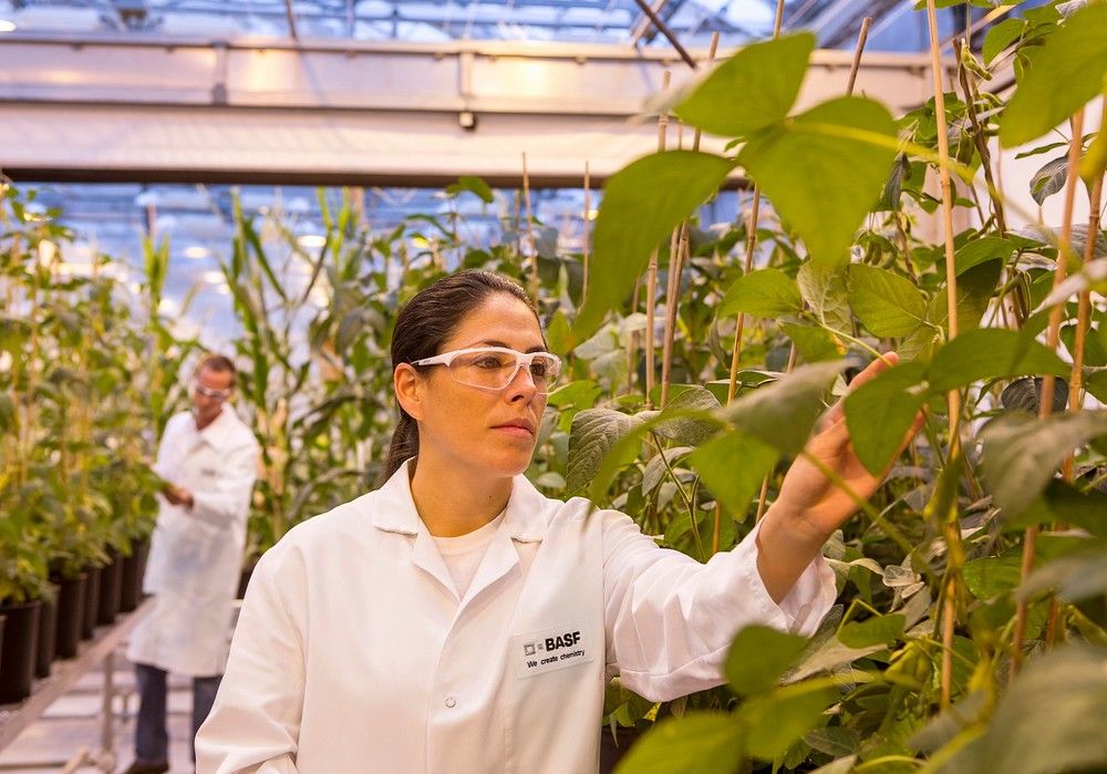 BASF presenta su cartera de innovaciones con soluciones que permiten acelerar la transformación de la agricultura