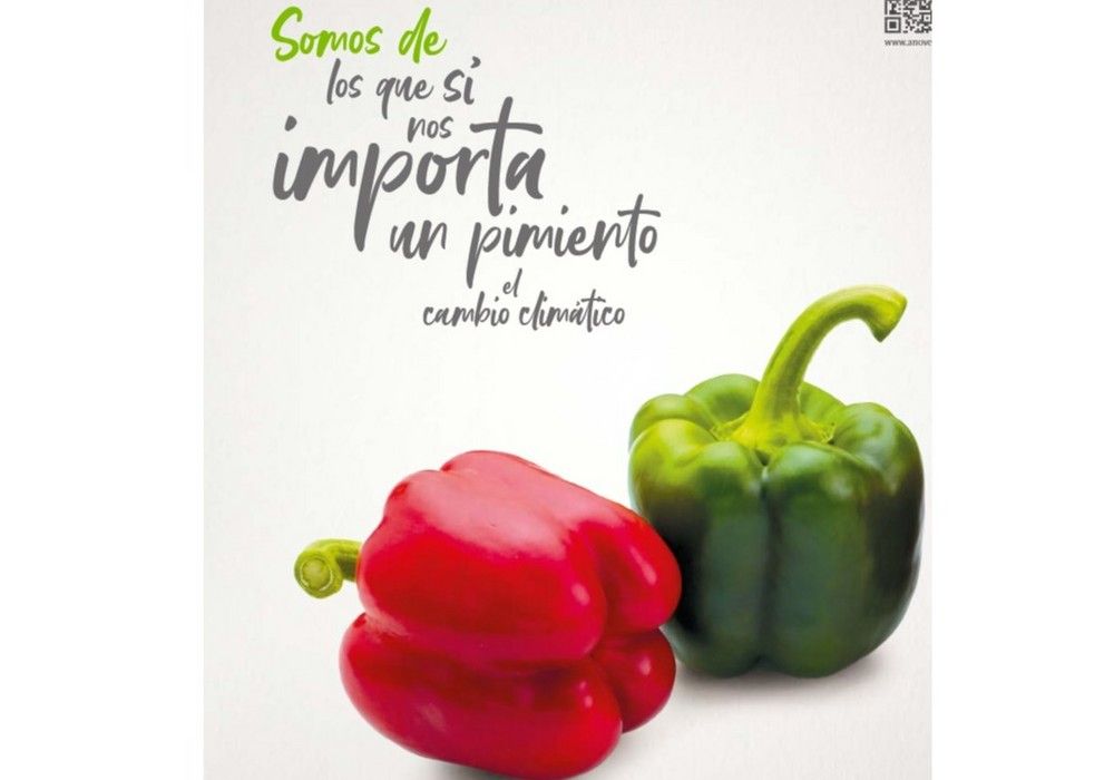 Producir 40% más de alimentos con la mitad de agua y superficie, entre los retos de la mejora vegetal