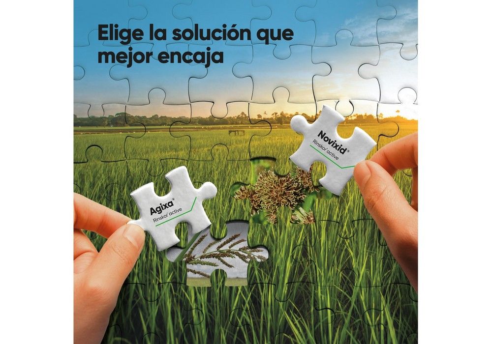 Corteva Agriscience presenta Agixa® y Novixid®, los nuevos herbicidas para el control de malas hierbas en el cultivo de arroz