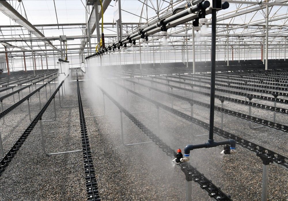 Campoejido duplica su capacidad de atención al agricultor con su nuevo semillero
