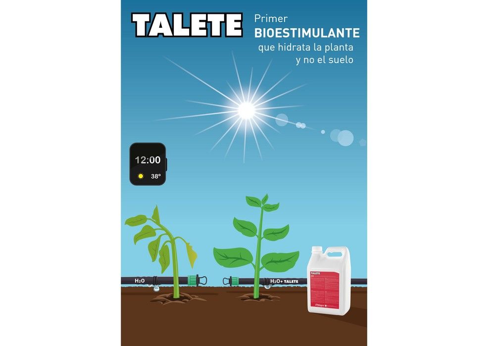 Talete, más agua en la planta