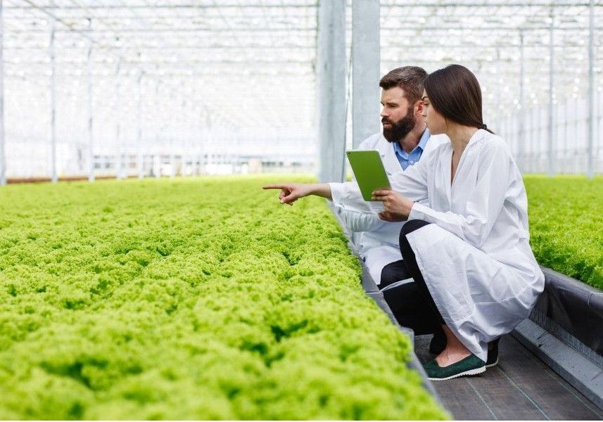Trabajar en mejora vegetal, de las mejores salidas profesionales y la más desconocida