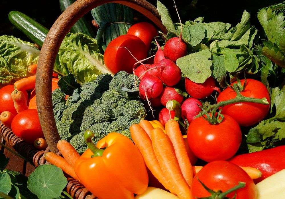 El Comité Mixto de Frutas y Hortalizas aborda la situación del reglamento de fitosanitarios y resalta la importancia de las cláusulas espejo en el comercio internacional