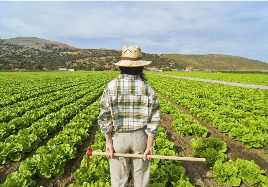 ASAJA denuncia la falta de compromiso del Gobierno de España con el sector agropecuario ante la inminente presidencia española del Consejo de la UE
