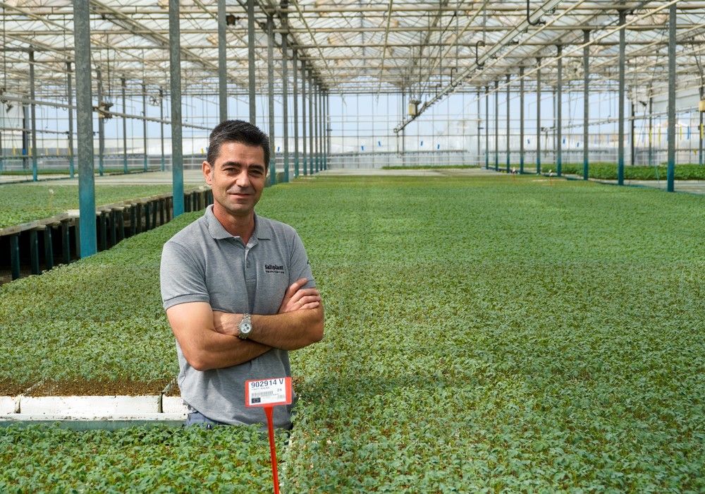 Semillero Saliplant cumple 37 años de experiencia garantizando seguridad y calidad de planta