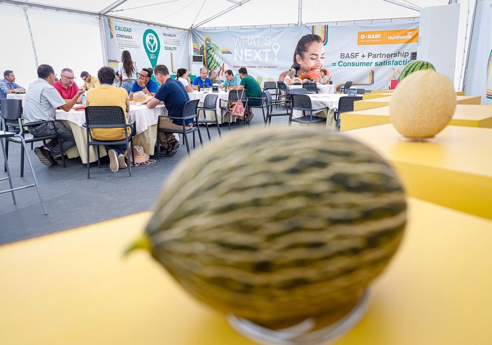 BASF dibuja la hoja de ruta para satisfacer al consumidor de melón y sandía