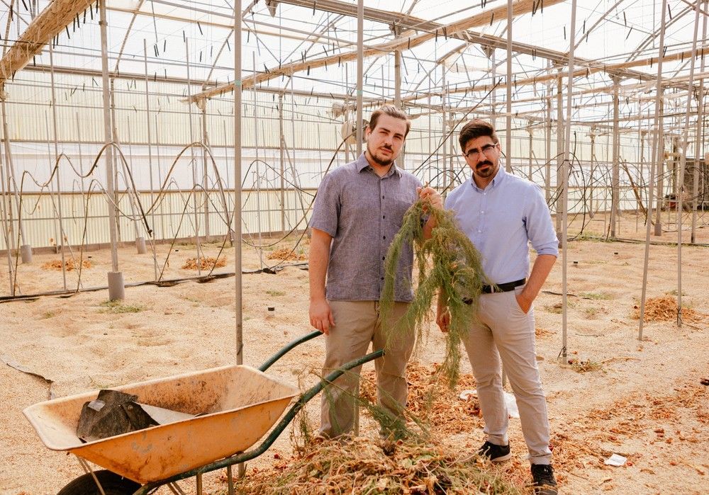 El Consejo Social de la UAL premia a ‘Southern Biorefinery’, que transforma los rastrojos de la agricultura en bioplásticos