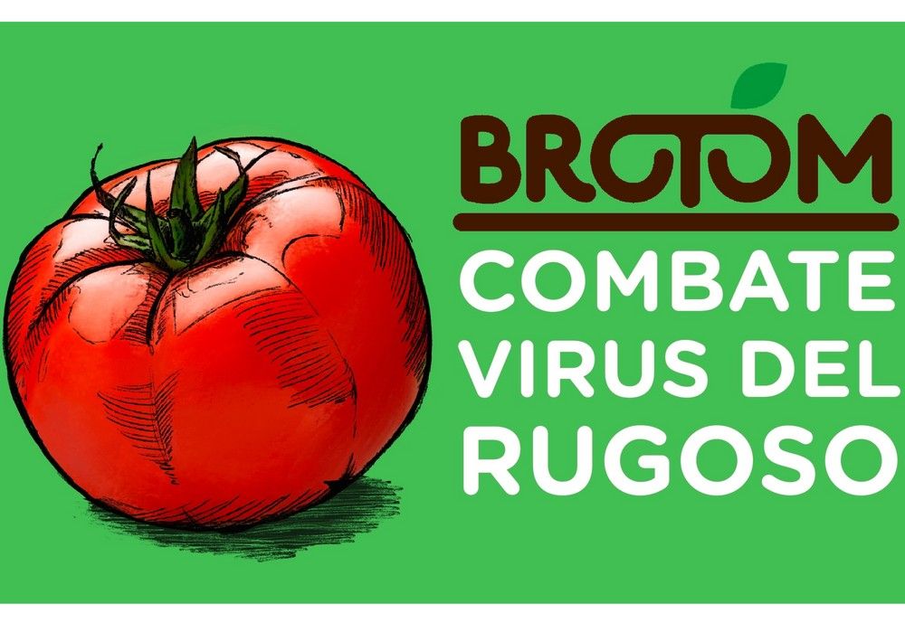 BROTOM, el arma imprescindible para el control y paralización contra el virus del rugoso