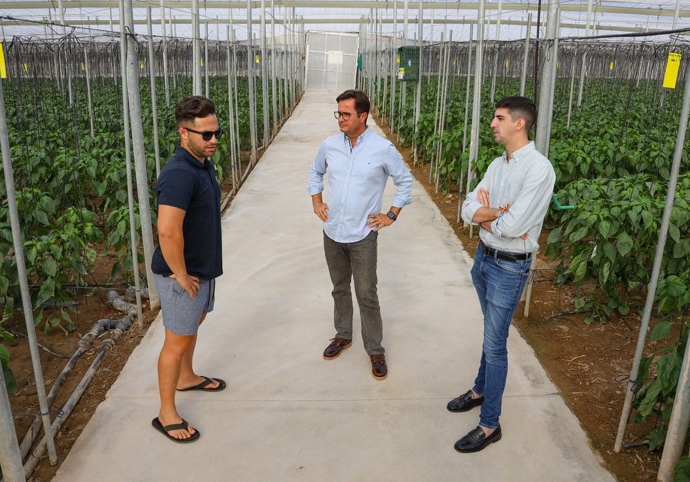 El alcalde pide “precios justos” y “seguir ganando en competitividad” en el inicio de la campaña agrícola en El Ejido