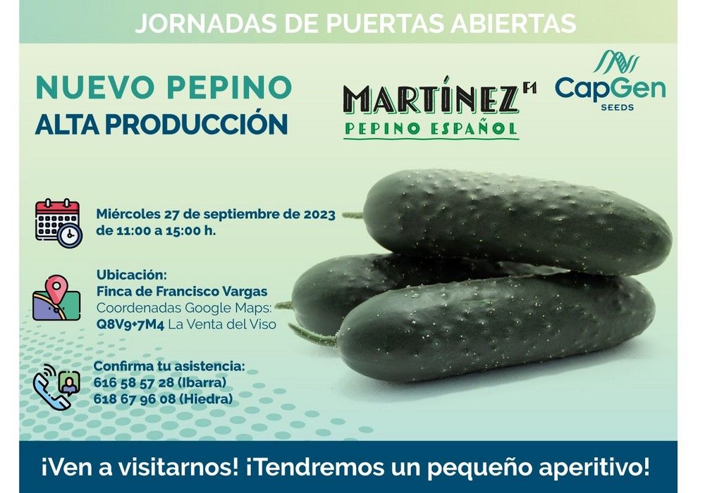 CapGen Seeds estrena su nueva variedad de pepino español Martínez recomendado para ciclos de otoño