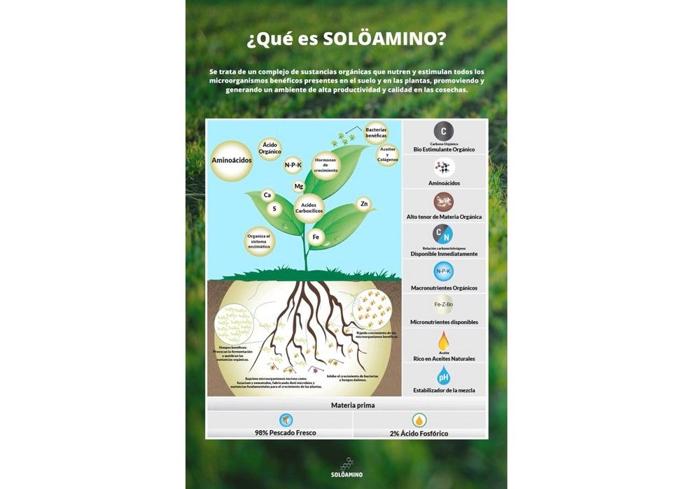 Aterriza en España Solöamino, una bomba de vida para el cultivo