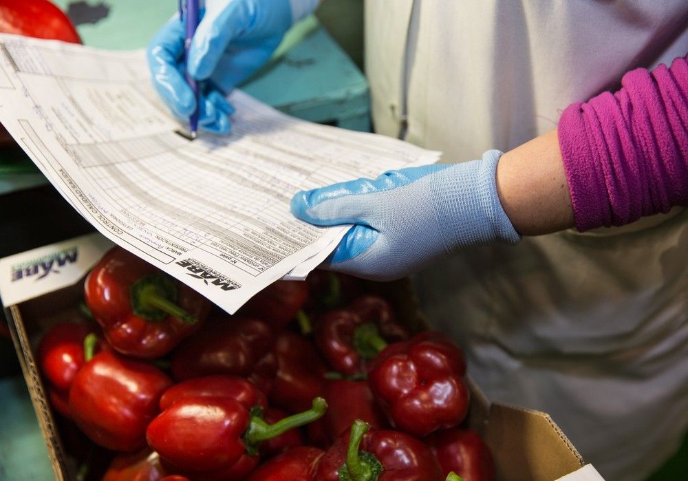 Hortofrutícola MABE, el origen de la calidad