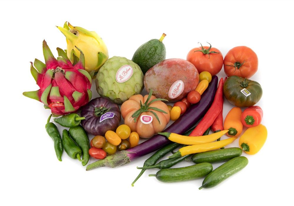 Cooperativa La Palma: Revolución Alimentaria