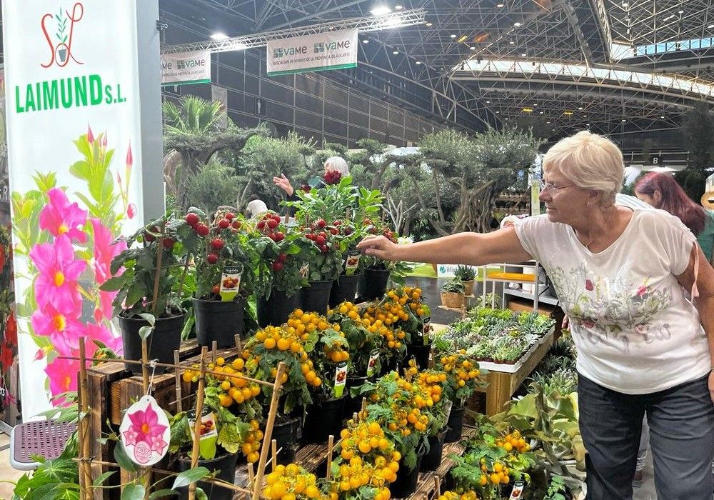 El sector ornamental de COEXPHAL constata un aumento en la venta nacional mientras se mantiene la exportación
