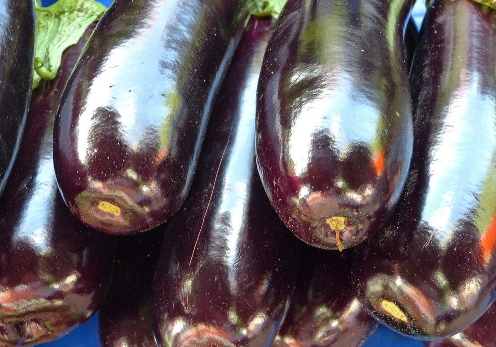 HORTYFRUTA activa la Extensión de Norma de Calidad para berenjena
