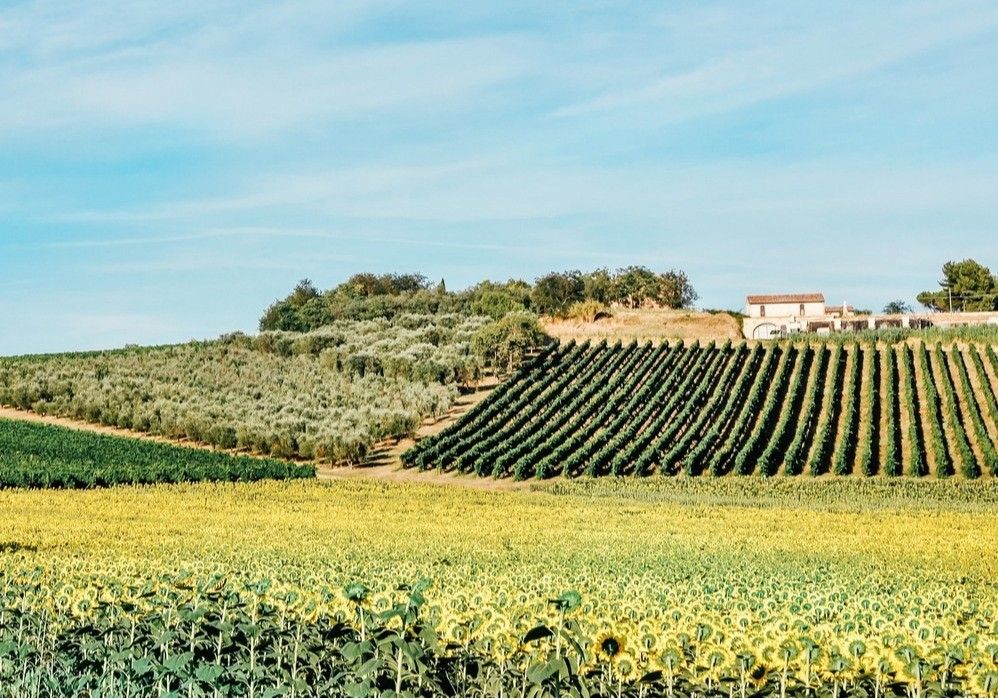 Los agricultores y ganaderos españoles percibirán cerca de 2.500 millones de euros en pagos anticipados de la PAC