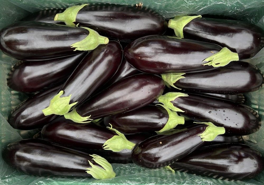 HORTYFRUTA recuerda que la Extensión de Norma de Calidad para berenjena permanece activa