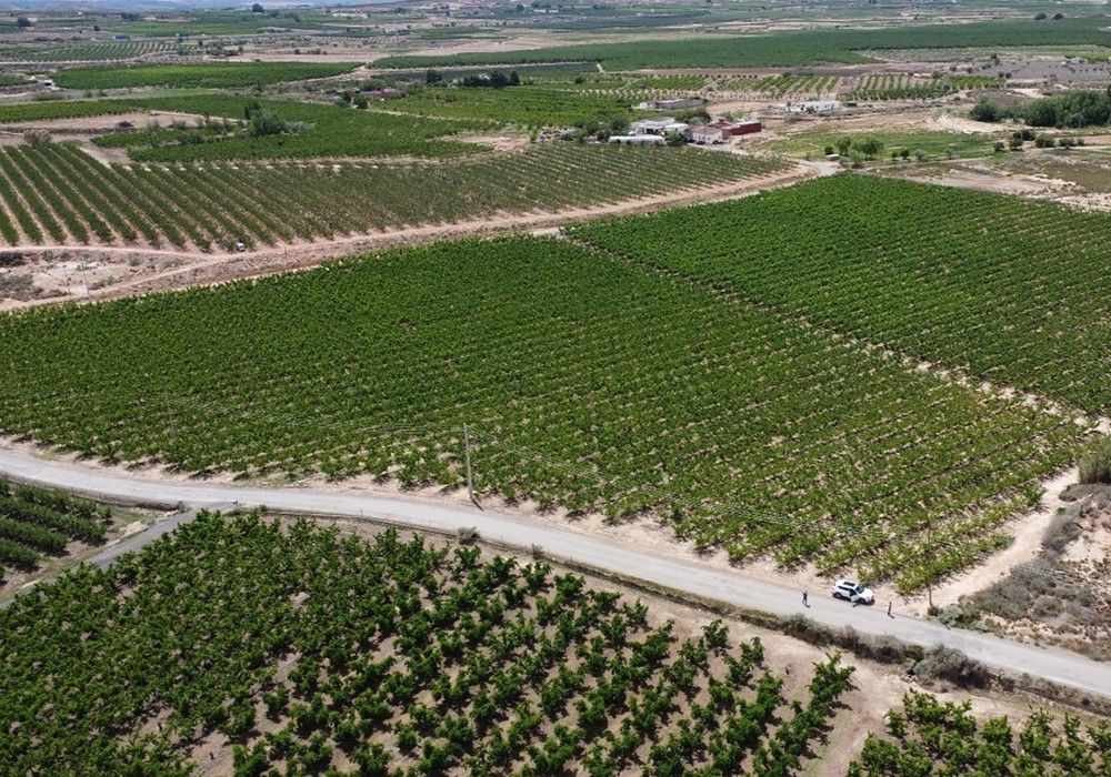 ¿Cómo afecta la fertilización a la acumulación de nitrógeno en los órganos de reserva del frutal de hueso?
