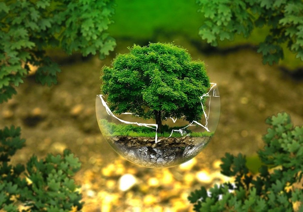 Realizar una nutrición completa con productos ecológicos ya es una realidad