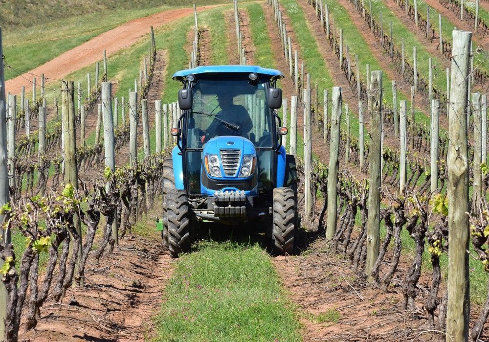 El Ministerio de Agricultura, Pesca y Alimentación analizará el contenido en carbono de los suelos agrícolas de España
