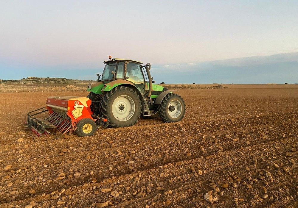 Problemas en la campaña de siembra de cereal en Almería ante la falta de precipitaciones