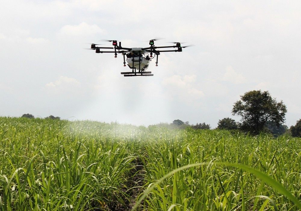 El Ministerio de Agricultura convoca las subvenciones para la formación de profesionales del mundo rural para 2024