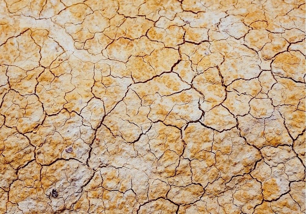 La inflación agraria, la sequía y la nueva PAC marcan el año 2023 en el campo almeriense, según ASAJA
