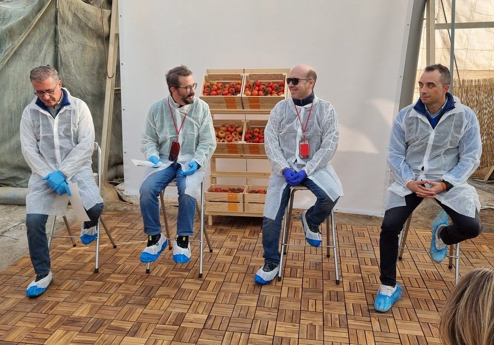 BASF | Nunhems® pone la resistencia al ToBRFV en el punto de mira del desarrollo varietal de tomate