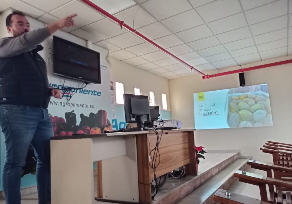 Grupo Agroponiente continúa preparando la campaña de melón y sandía junto a técnicos de Semillas Fitó